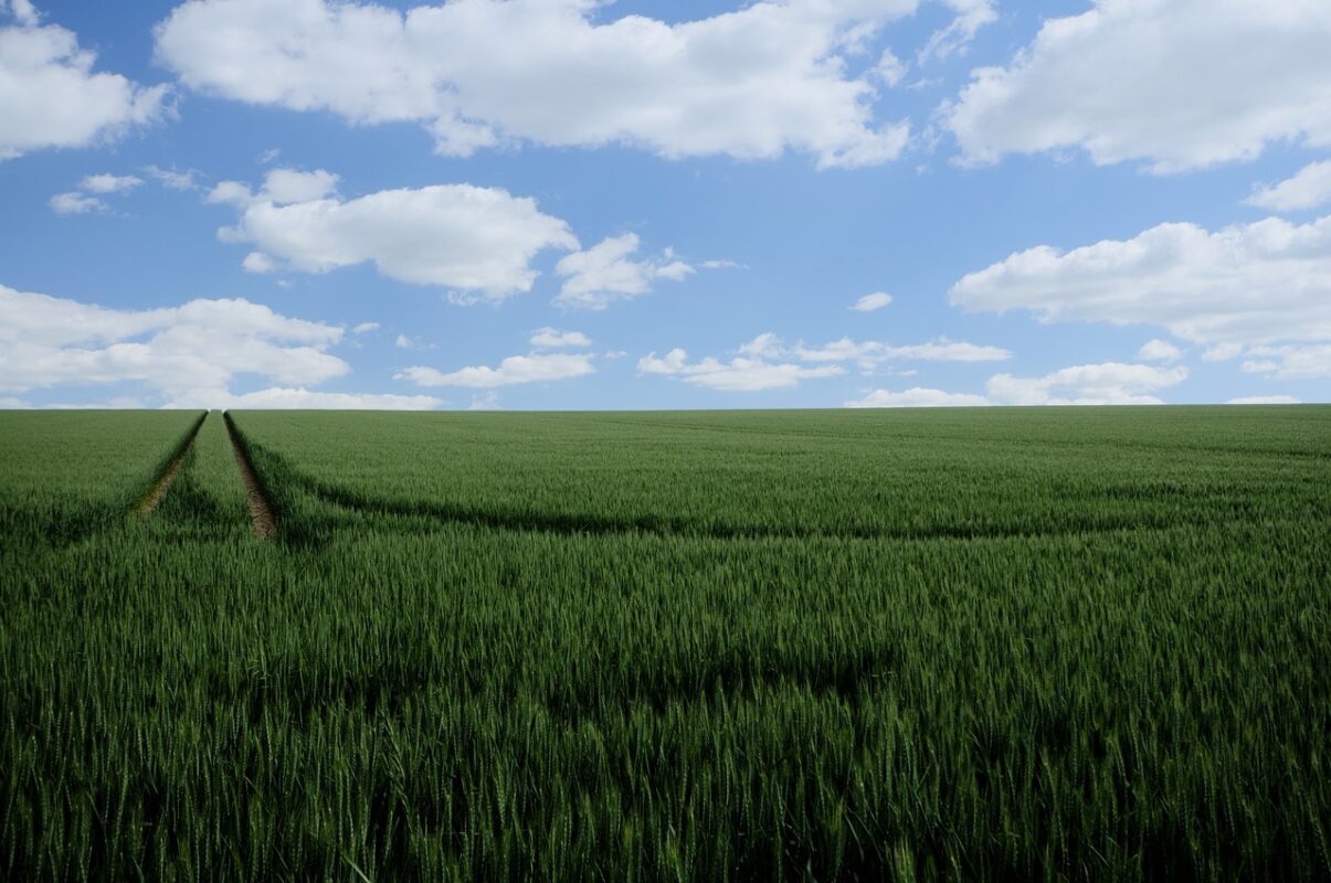 Phân tích giá Binance Coin, Fantom, Waves: 16 tháng 3