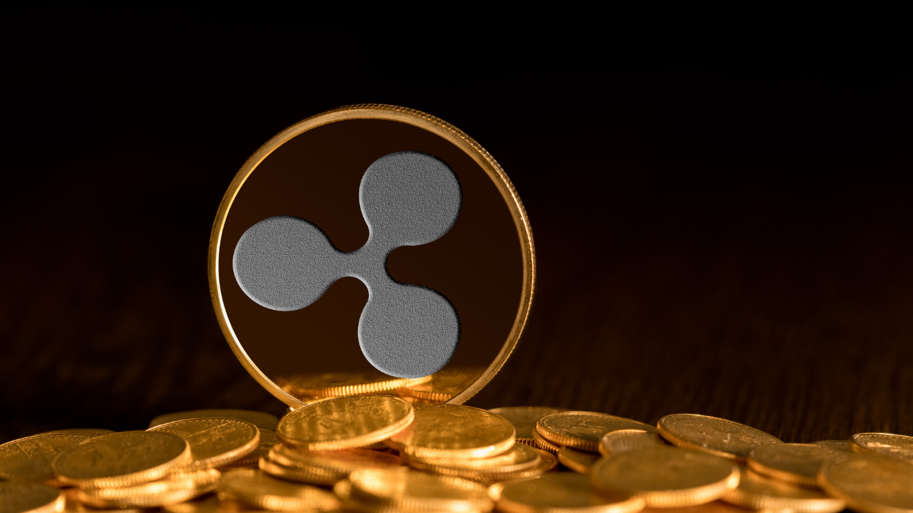 Sự tích lũy mua mới nhất của XRP - Liệu nó có thể đạt được điều gì đó không? - Tin Tức Bitcoin - Cập Nhật Tin Tức Coin Mới Nhất 24/7 2025