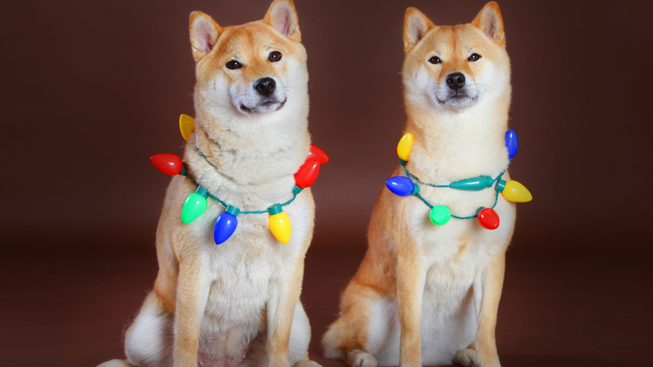 Vẫn còn là thời điểm tốt để mua SHIB? Đây là những gì các chỉ số kỹ thuật chỉ ra - Tin Tức Bitcoin - Cập Nhật Tin Tức Coin Mới Nhất 24/7 2025