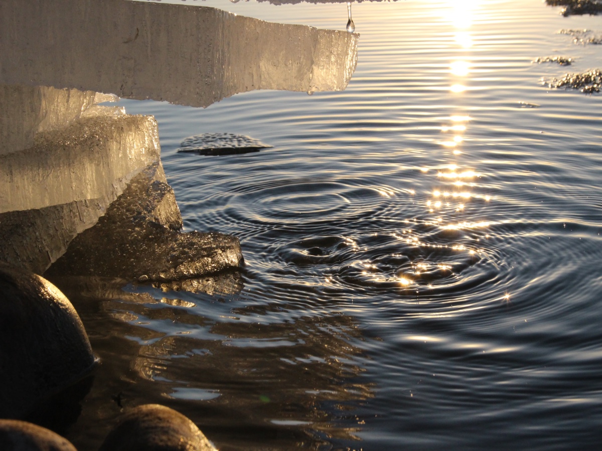 Vụ kiện XRP: Đây là lý do tại sao bạn nên chú ý đến vụ SEC v Ripple ngay bây giờ - Tin Tức Bitcoin - Cập Nhật Tin Tức Coin Mới Nhất 24/7 2025