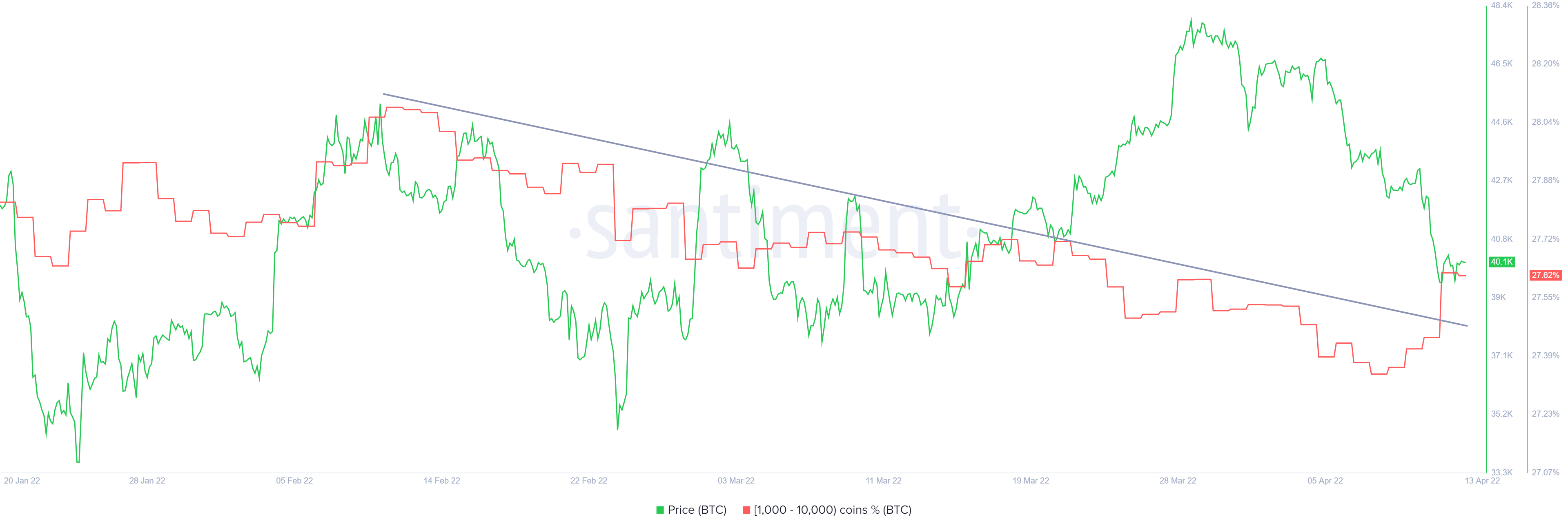 Cá voi của Bitcoin đang mua sự sụt giảm và đây là ý nghĩa của nó - Tin Tức Bitcoin - Cập Nhật Tin Tức Coin Mới Nhất 24/7 2025