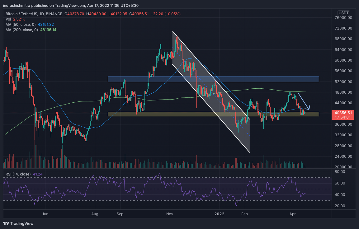Bitcoin: Có trường hợp 'đầu cơ' vào các nguyên tắc cơ bản của BTC không - Tin Tức Bitcoin - Cập Nhật Tin Tức Coin Mới Nhất 24/7 2025