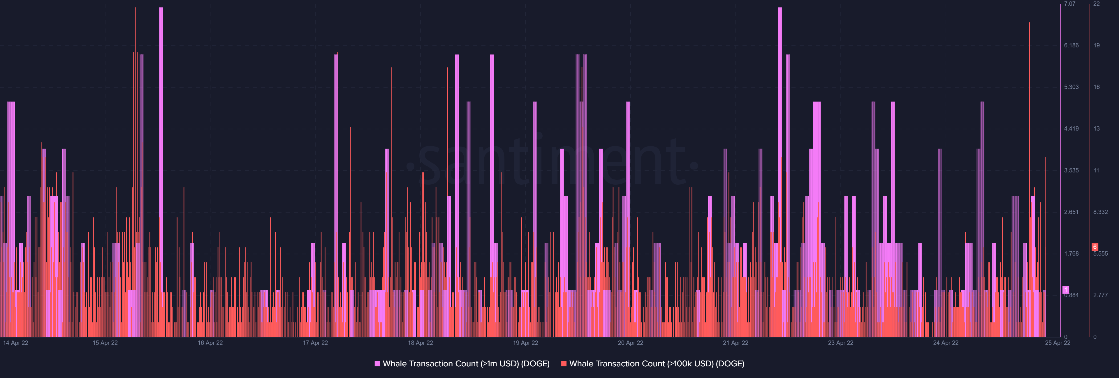 Chủ sở hữu DOGE có nên vui mừng về việc đề nghị Twitter của Musk trở lại trên bàn không - Tin Tức Bitcoin - Cập Nhật Tin Tức Coin Mới Nhất 24/7 2025