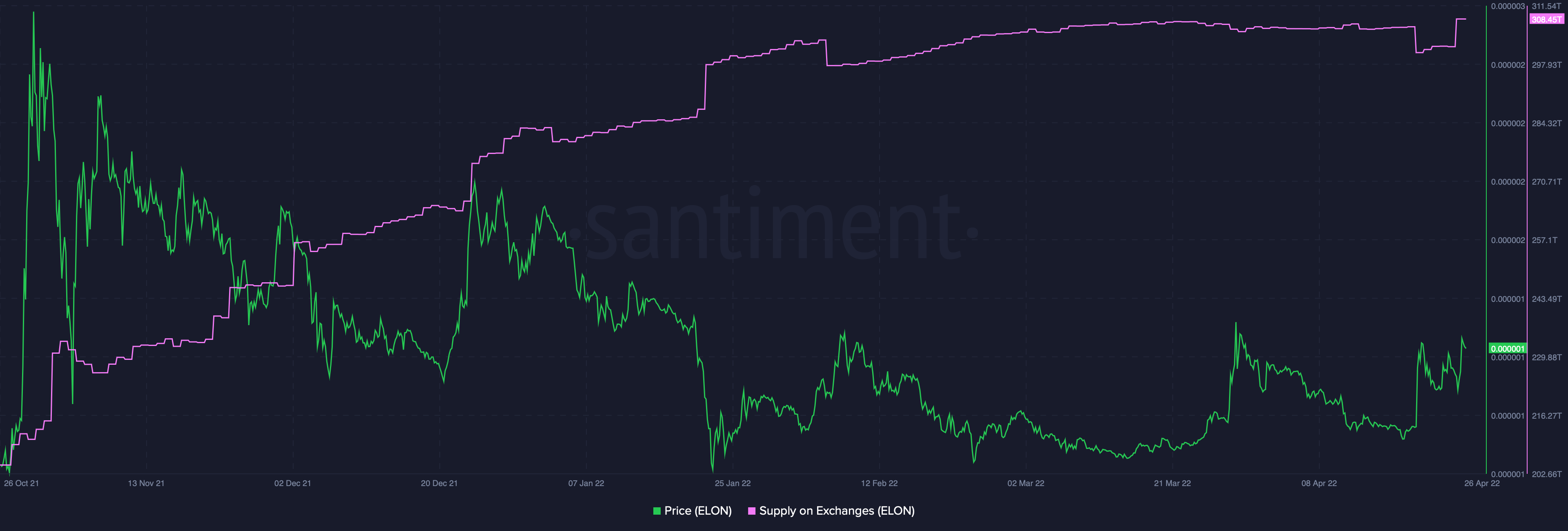 Musk thể hiện Twitter là Dogecoin, ELON go gaga trong khi SHIB ngủ trưa - Tin Tức Bitcoin - Cập Nhật Tin Tức Coin Mới Nhất 24/7 2025