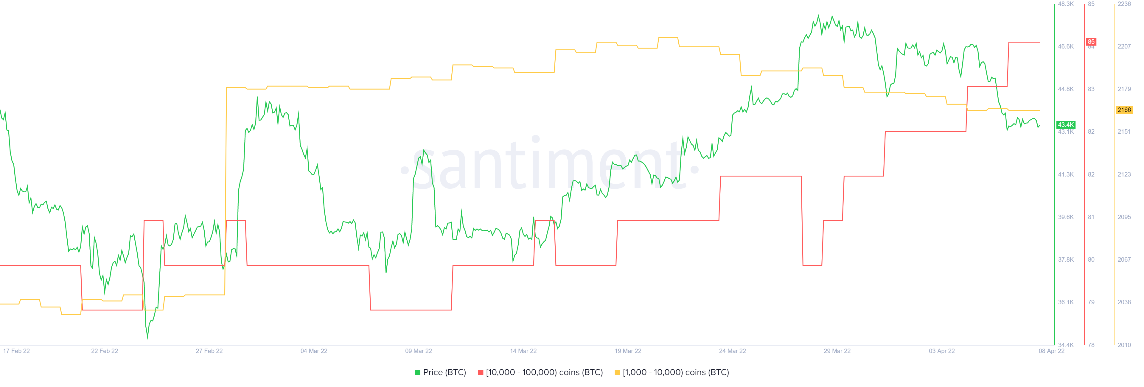 Bitcoin: Ba lý do tại sao bạn không nên giảm giá vào năm 2022 - Tin Tức Bitcoin - Cập Nhật Tin Tức Coin Mới Nhất 24/7 2025