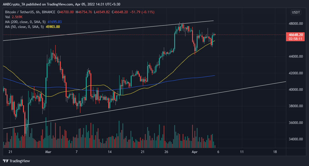 Bitcoin: Lý do tại sao BTC đang giữ mạnh trên $ 45,000 - Tin Tức Bitcoin - Cập Nhật Tin Tức Coin Mới Nhất 24/7 2025 Bitcoin: Lý do tại sao BTC đang giữ mạnh trên $ 45,000 - Tin Tức Bitcoin - Cập Nhật Tin Tức Coin Mới Nhất 24/7 2025