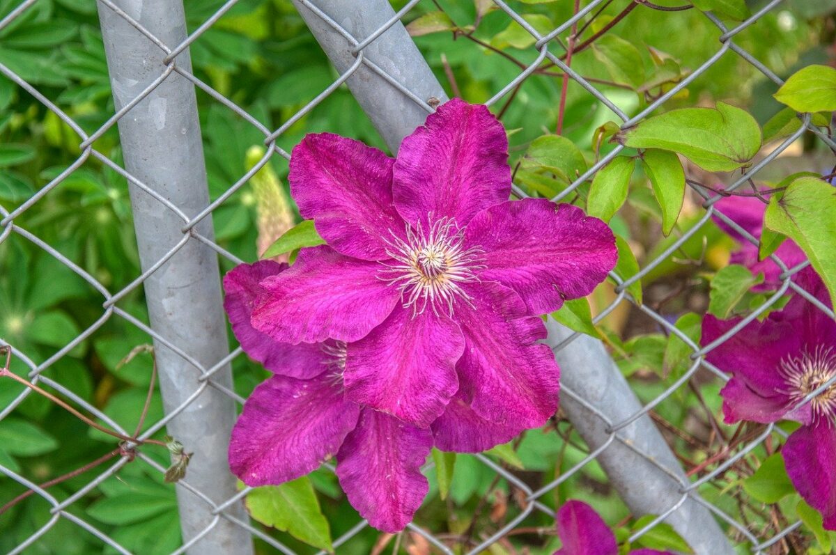 SAND có thể sẵn sàng đột phá, nhưng đó có phải là toàn bộ câu chuyện - Tin Tức Bitcoin - Cập Nhật Tin Tức Coin Mới Nhất 24/7 2025