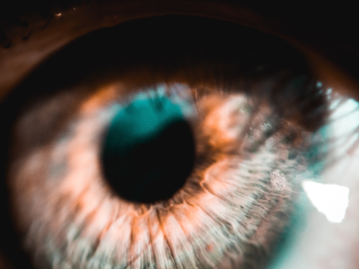 Thêm LOOKS vào danh mục đầu tư của bạn? Đây là lý do tại sao bạn nên suy nghĩ lại - Tin Tức Bitcoin - Cập Nhật Tin Tức Coin Mới Nhất 24/7 2025