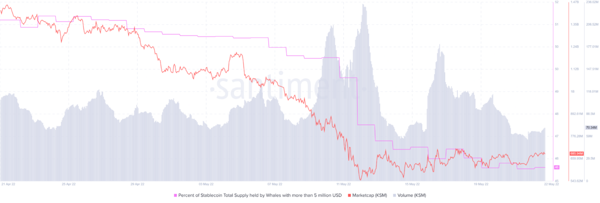 Phân tích Kusama's [KSM] tiềm năng đột phá trong tương lai gần - Tin Tức Bitcoin - Cập Nhật Tin Tức Coin Mới Nhất 24/7 2025