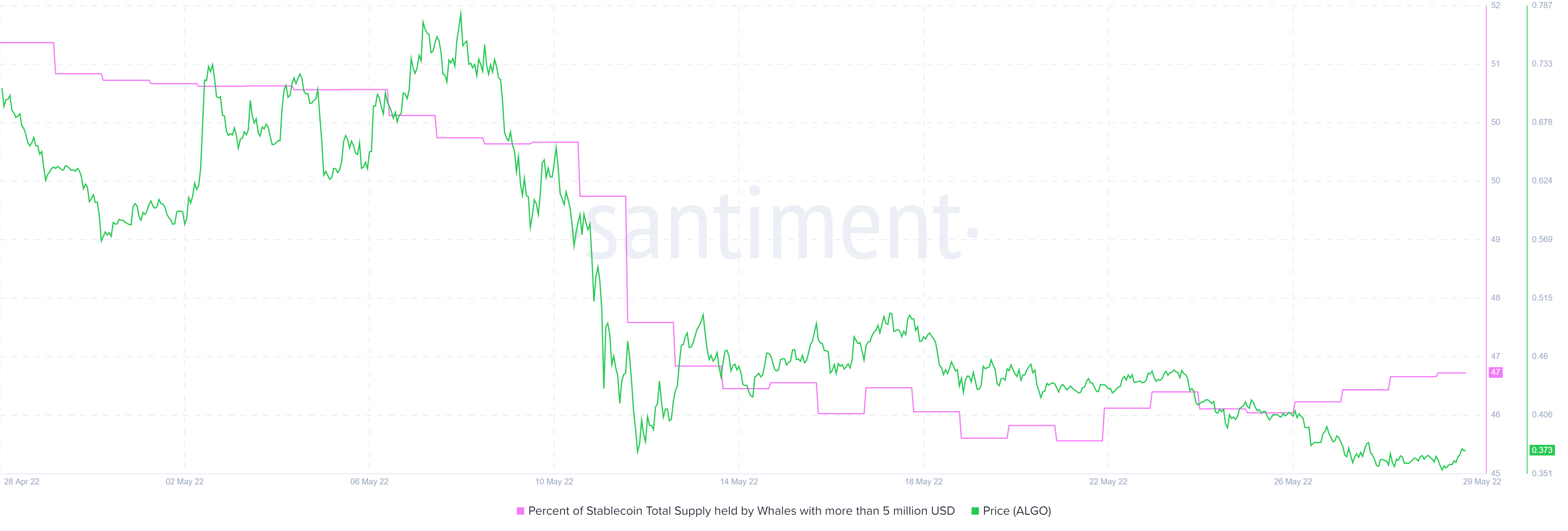 Algorand [ALGO] kiểm tra mức thấp nhất địa phương: Sự cố trên đường đi hoặc bẫy giảm giá - Tin Tức Bitcoin - Cập Nhật Tin Tức Coin Mới Nhất 24/7 2025