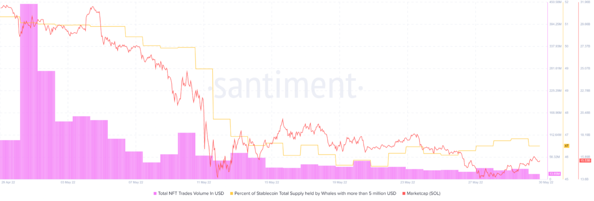SOL [Solana] ADA mới là [Cardano]? Giải mã các khả năng - Tin Tức Bitcoin - Cập Nhật Tin Tức Coin Mới Nhất 24/7 2025