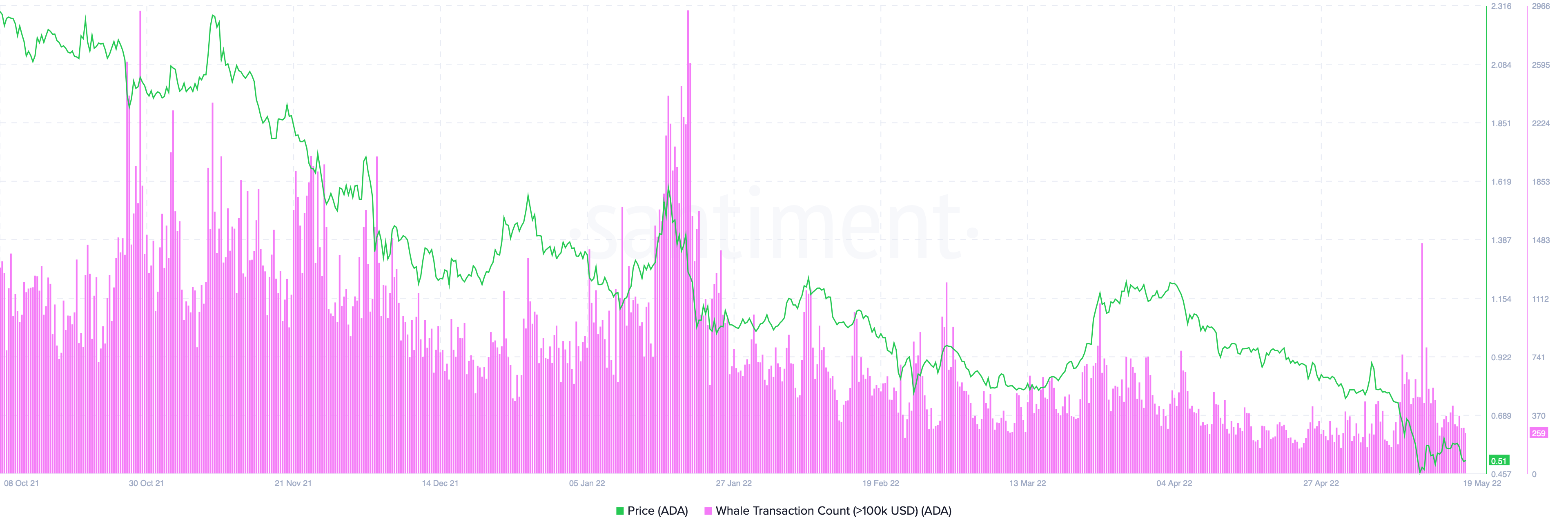 Cardano [ADA] các nhà đầu tư nên biết rằng những con cá voi đã tích cực… - Tin Tức Bitcoin - Cập Nhật Tin Tức Coin Mới Nhất 24/7 2025