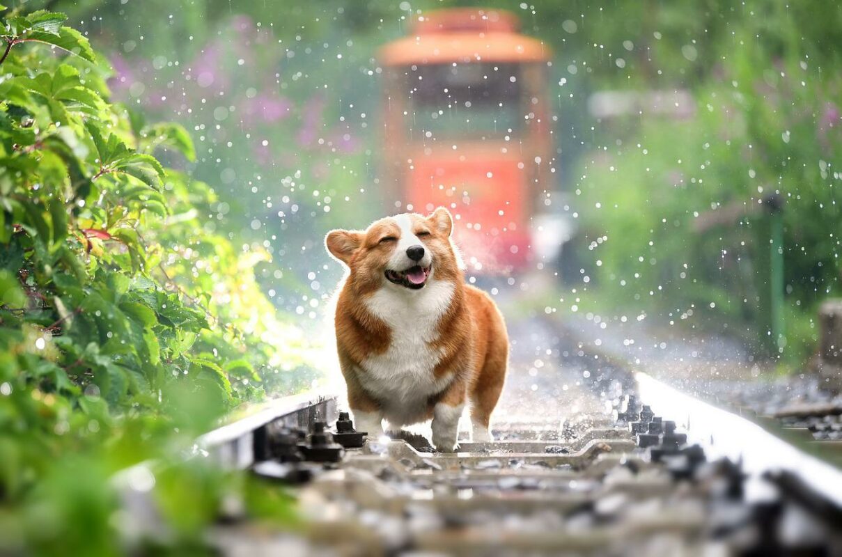 Hai cấp độ này của Dogecoin nên được xem xét trước khi thực hiện bất kỳ động thái nào - Tin Tức Bitcoin - Cập Nhật Tin Tức Coin Mới Nhất 24/7 2025 Hai cấp độ cần chú ý đối với Dogecoin khi người bán dự đoán vẫn thấp hơn trên bảng xếp hạng