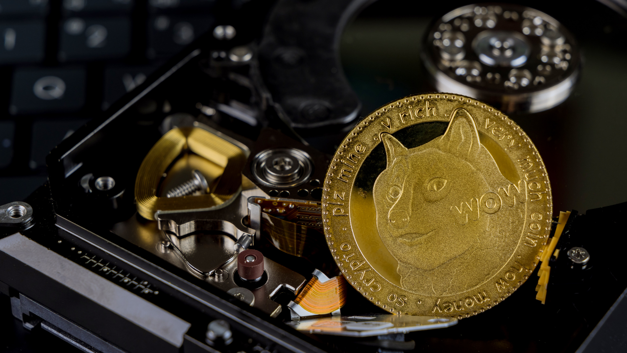 Từ A đến Z của Dogecoin nào [DOGE] các nhà đầu tư cần phải cảnh giác - Tin Tức Bitcoin - Cập Nhật Tin Tức Coin Mới Nhất 24/7 2025