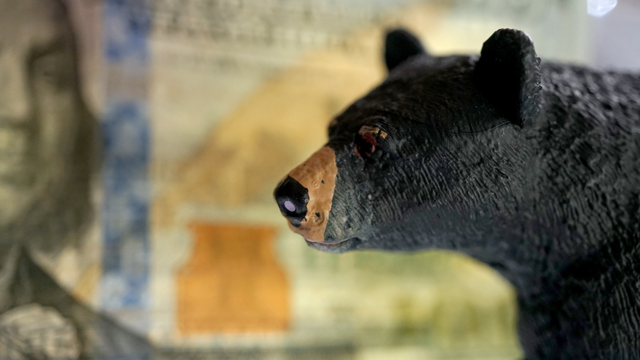 Monero [XMR] các nhà giao dịch cần phải cảnh giác với điều này trước khi thực hiện các cuộc gọi - Tin Tức Bitcoin - Cập Nhật Tin Tức Coin Mới Nhất 24/7 2026