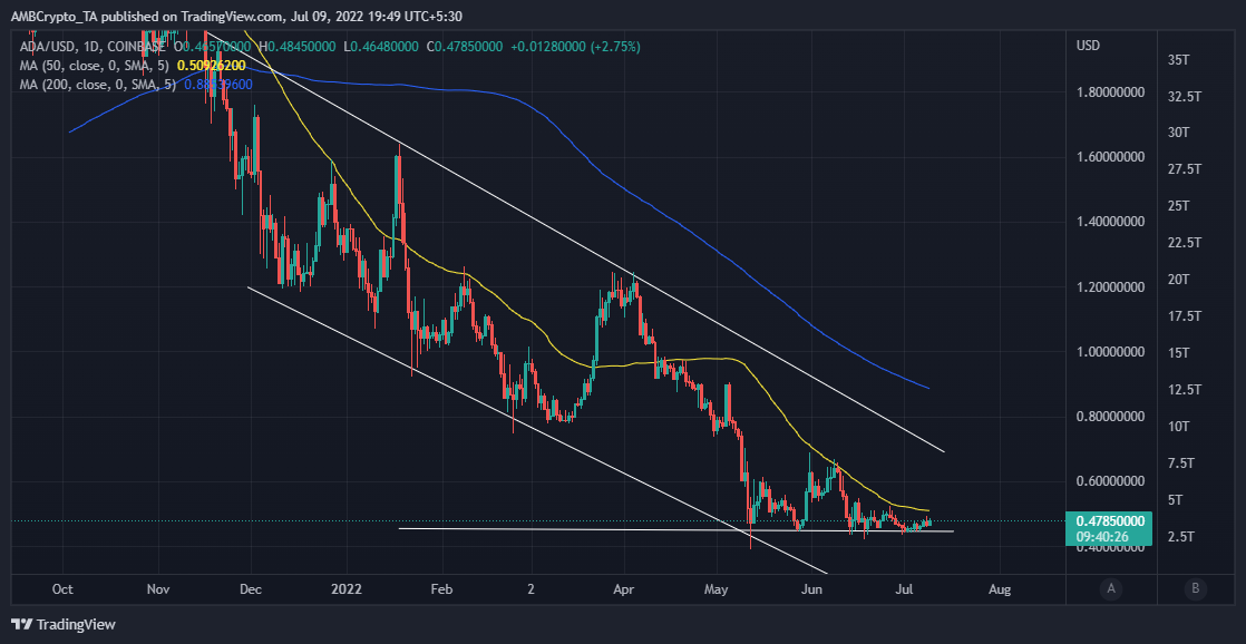 Cardano [ADA] cá voi đang đánh cá trở lại sau khi kiểm tra lại mạnh mẽ - Đây là những gì tiếp theo - Tin Tức Bitcoin - Cập Nhật Tin Tức Coin Mới Nhất 24/7 2025