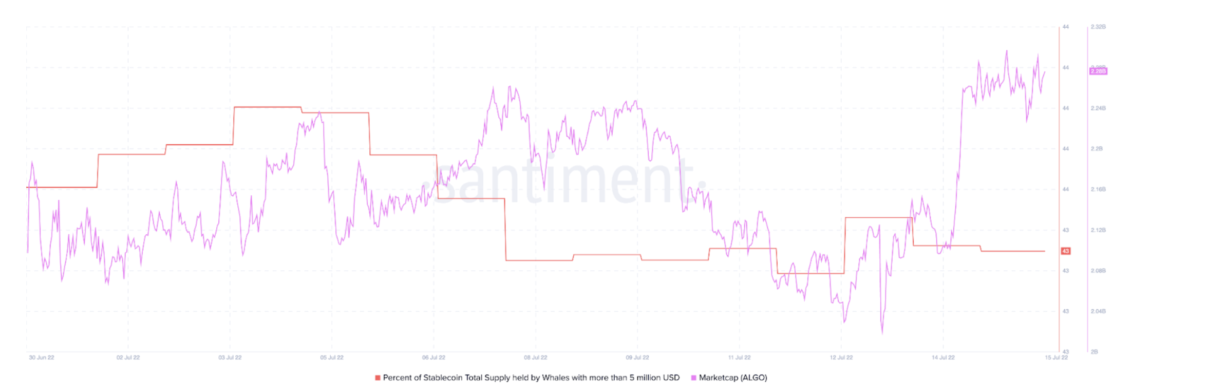 Còn gì nữa cho Algorand's không [ALGO] những nỗ lực gần đây để thu hút các nhà đầu tư trở lại - Tin Tức Bitcoin - Cập Nhật Tin Tức Coin Mới Nhất 24/7 2025