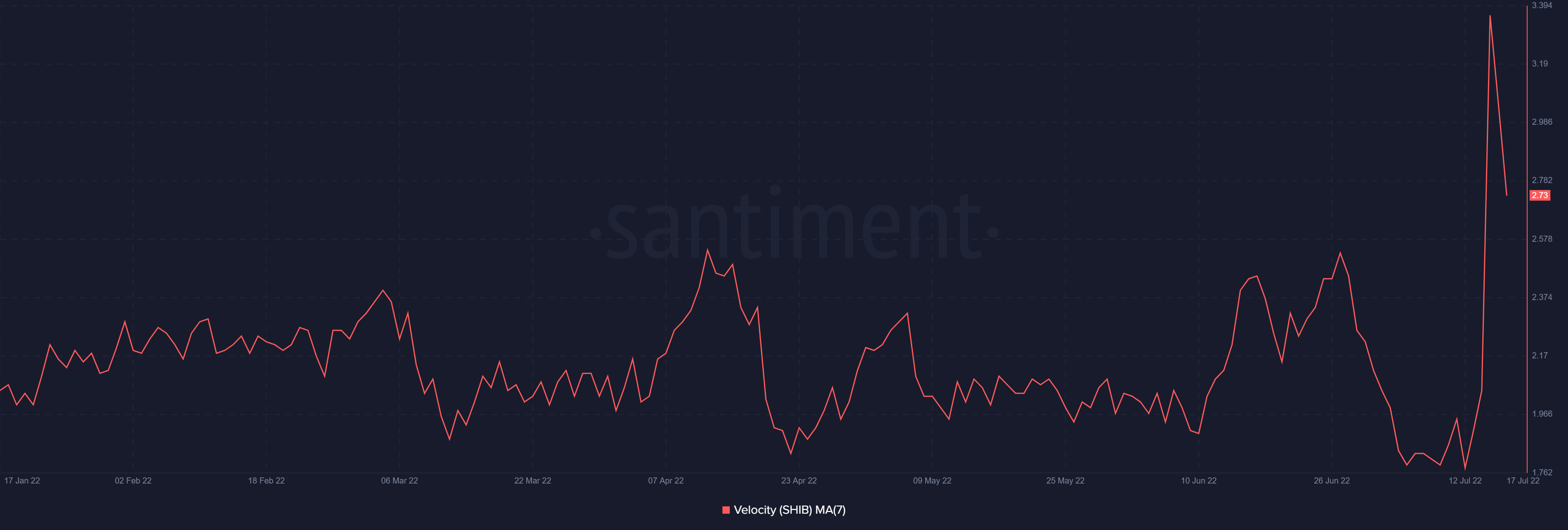 Shiba Inu [SHIB]: Tại sao các nhà đầu tư hiện đang hoạt động với XONG này để chọn - Tin Tức Bitcoin - Cập Nhật Tin Tức Coin Mới Nhất 24/7 2025
