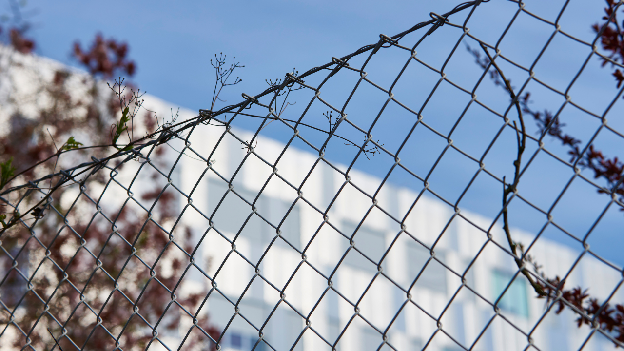 Chainlink: Ảnh hưởng của việc phá vỡ mô hình này đối với các chỉ số kỹ thuật của LINK có thể là… - Tin Tức Bitcoin - Cập Nhật Tin Tức Coin Mới Nhất 24/7 2025