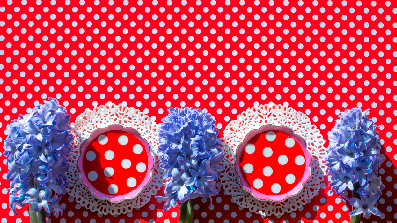 Làm thế nào Polkadot [DOT] các nhà giao dịch có thể đặt thời gian cho các mục nhập của họ để duy trì lợi nhuận - Tin Tức Bitcoin - Cập Nhật Tin Tức Coin Mới Nhất 24/7 2025