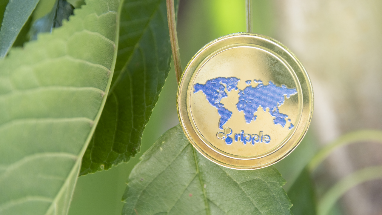 Tại sao các nhà giao dịch XRP phải cảnh giác với các mức này trước khi đặt cược - Tin Tức Bitcoin - Cập Nhật Tin Tức Coin Mới Nhất 24/7 2025 Tại sao các nhà giao dịch XRP phải cảnh giác với các mức này trước khi đặt cược - Tin Tức Bitcoin - Cập Nhật Tin Tức Coin Mới Nhất 24/7 2025