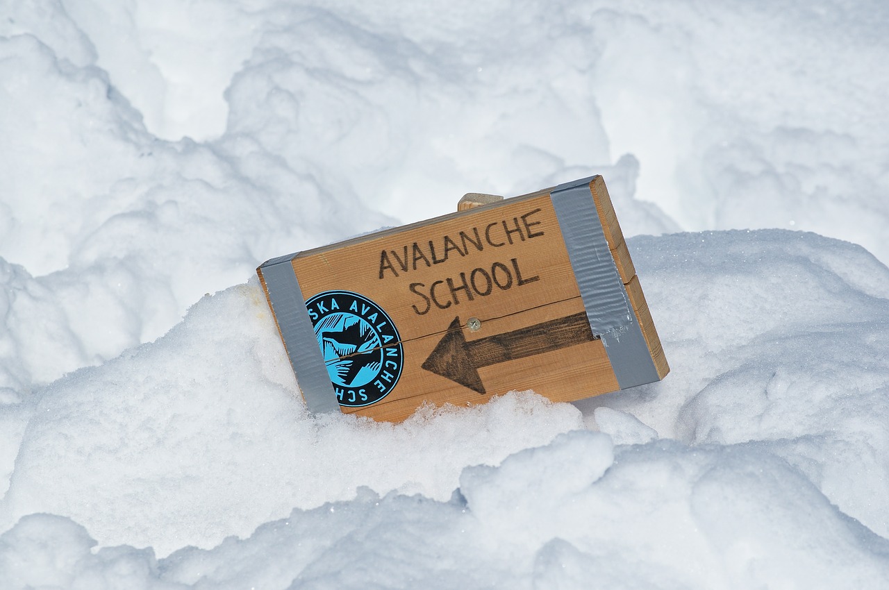Tăng 8%, có thể Avalanche [AVAX] thực sự giữ quỹ đạo giá của nó - Tin Tức Bitcoin - Cập Nhật Tin Tức Coin Mới Nhất 24/7 2025