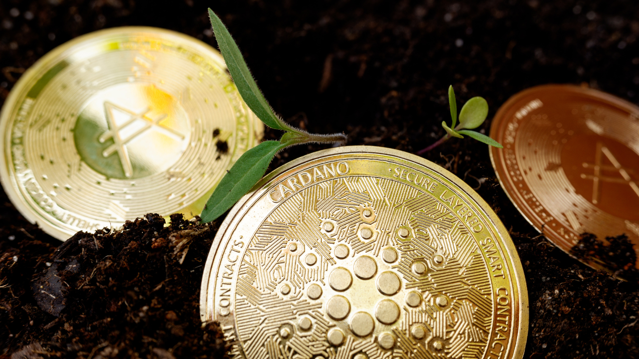 Với Cardano [ADA] vi phạm 0,4565 đô la, những con gấu có thể để mắt đến mức này tiếp theo - Tin Tức Bitcoin - Cập Nhật Tin Tức Coin Mới Nhất 24/7 2025