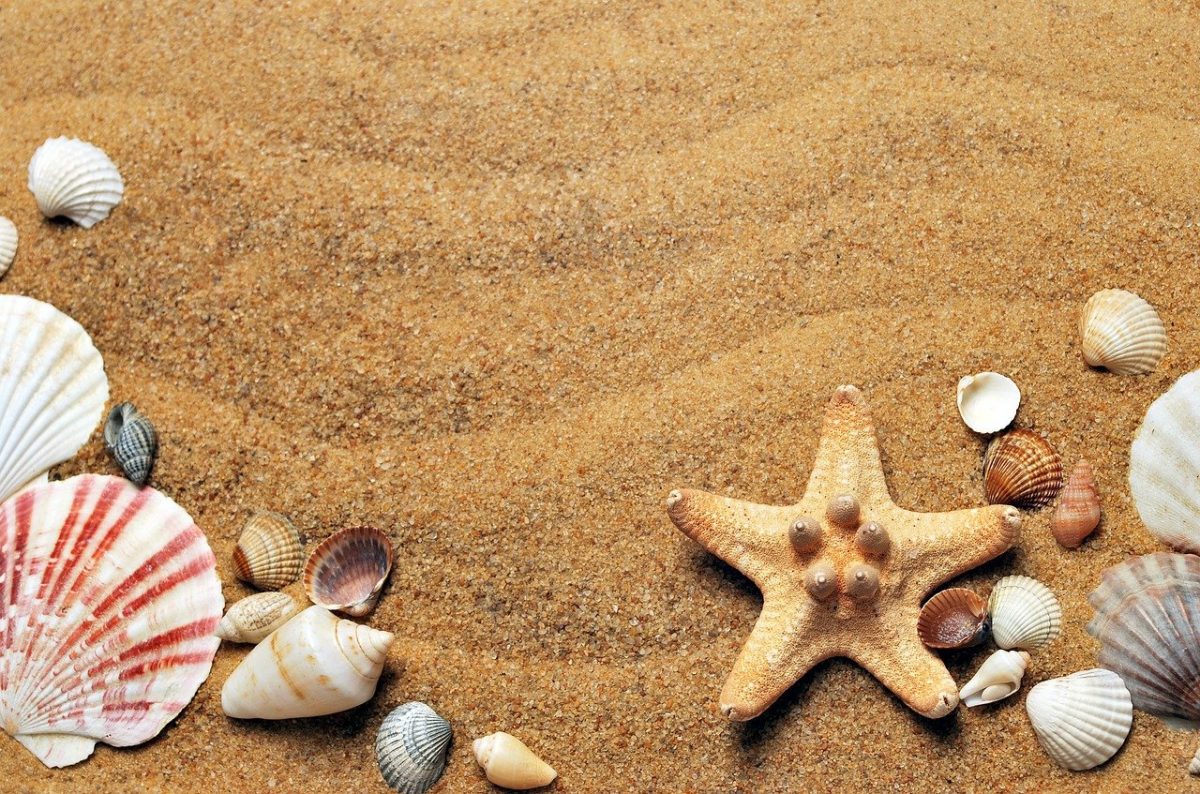 A Hail Mary đang hoạt động cho SAND? Đây là những gì bạn nên biết - Tin Tức Bitcoin - Cập Nhật Tin Tức Coin Mới Nhất 24/7 2025