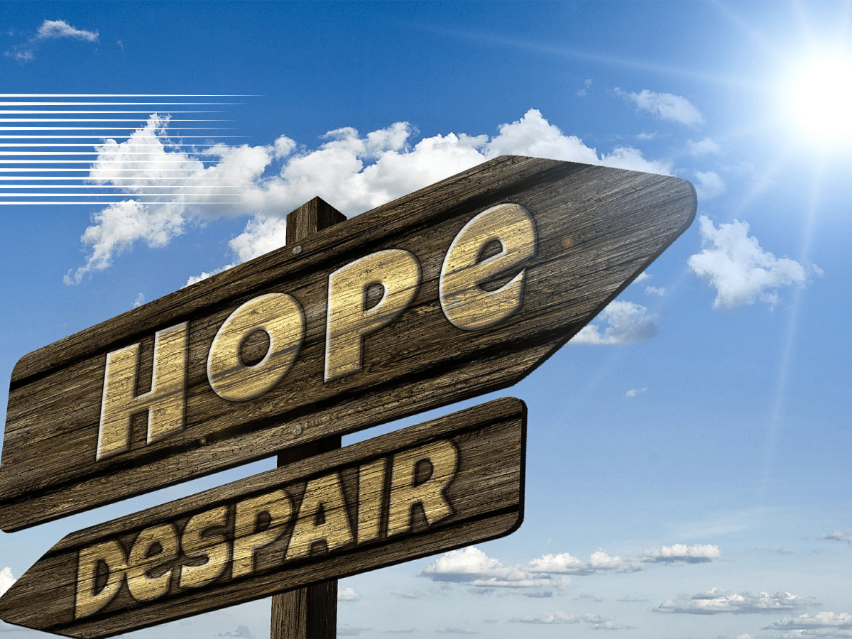 Sự lạc quan mang đến một 'OpenSea' các cơ hội, nhưng OP chọn không tham gia - Tin Tức Bitcoin - Cập Nhật Tin Tức Coin Mới Nhất 24/7 2026