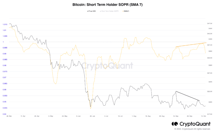 Lợi nhuận của nhà đầu tư ngắn hạn bitcoin 2022