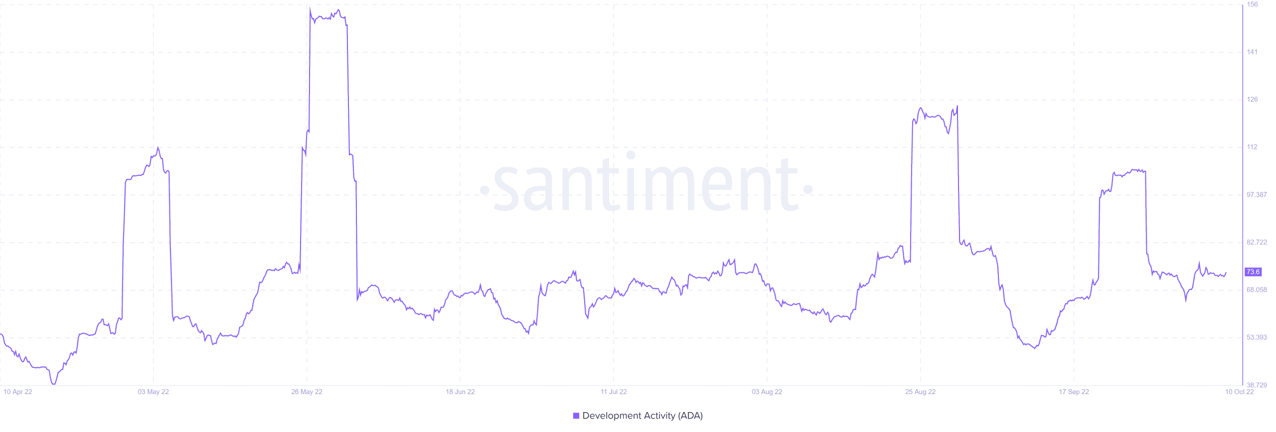 ADA có đang cản trở báo cáo tiến độ mới nhất của Cardano không? Đây là suy đoán - Tin Tức Bitcoin - Cập Nhật Tin Tức Coin Mới Nhất 24/7 2026 ADA có đang cản trở báo cáo tiến độ mới nhất của Cardano không? Đây là suy đoán - Tin Tức Bitcoin - Cập Nhật Tin Tức Coin Mới Nhất 24/7 2026