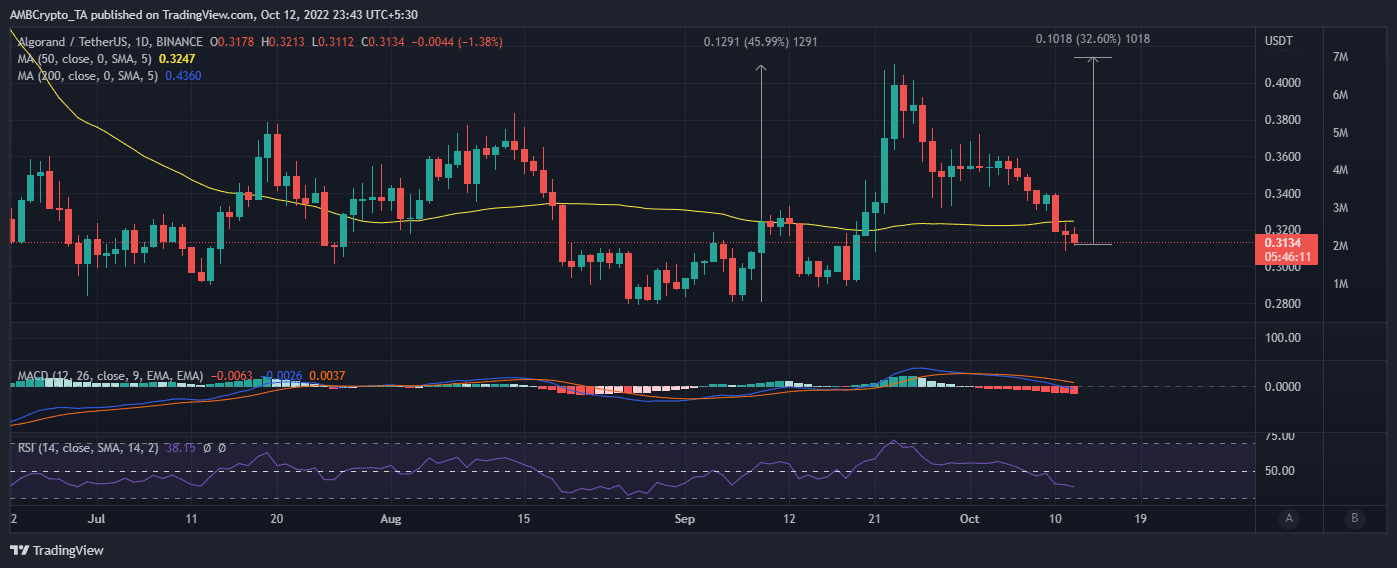 Algorand [ALGO] bao gồm USDC có nguồn gốc từ Ethereum thông qua… - Tin Tức Bitcoin - Cập Nhật Tin Tức Coin Mới Nhất 24/7 2025