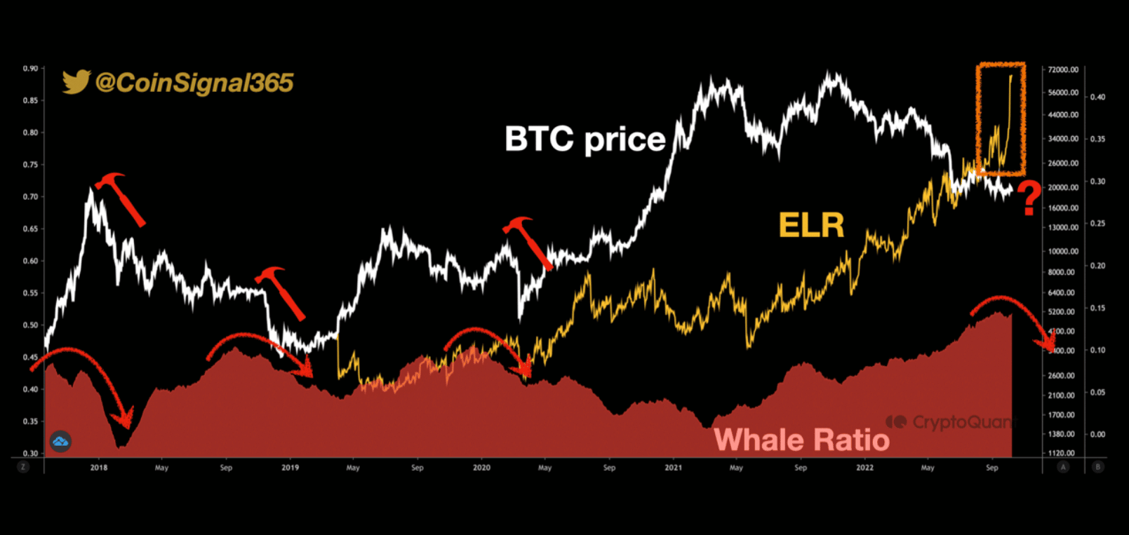 Bitcoin này [BTC] chỉ số cao và cá voi có thể liên quan đến nó - Tin Tức Bitcoin - Cập Nhật Tin Tức Coin Mới Nhất 24/7 2025
