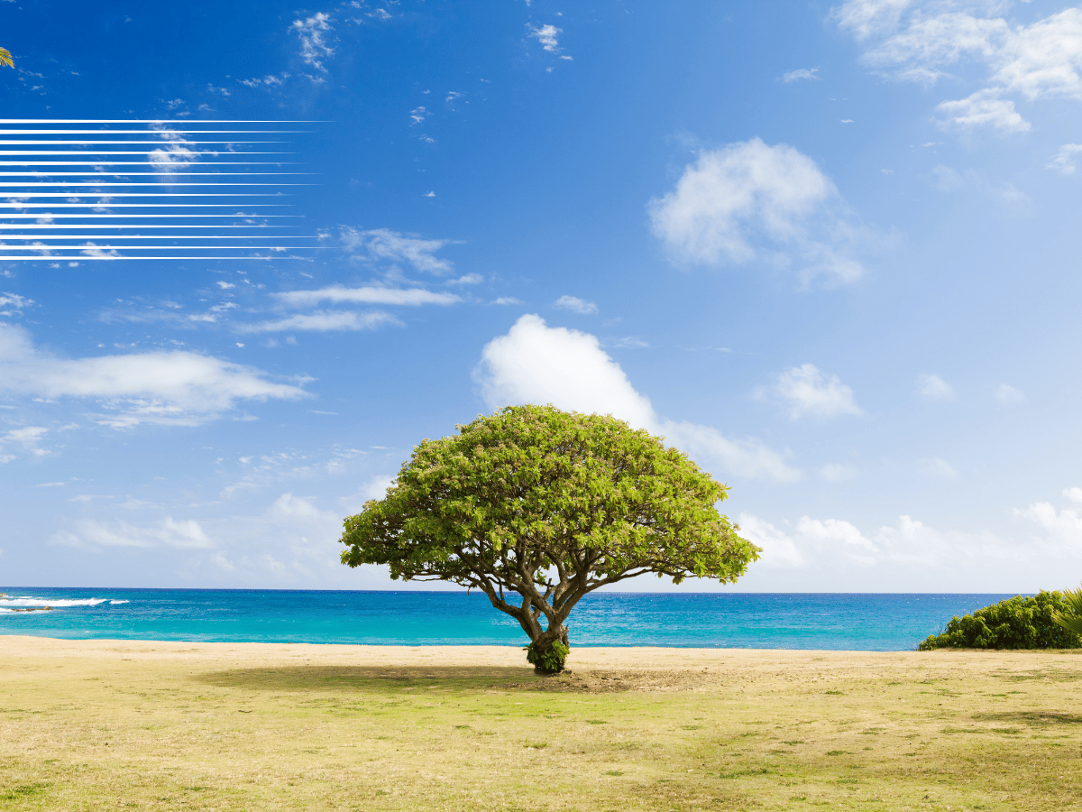 Các giao thức Lido Finance L2 đang được đánh giá cao, nhưng LDO thì sao - Tin Tức Bitcoin - Cập Nhật Tin Tức Coin Mới Nhất 24/7 2026 Các giao thức Lido Finance L2 đang được đánh giá cao, nhưng LDO thì sao - Tin Tức Bitcoin - Cập Nhật Tin Tức Coin Mới Nhất 24/7 2026