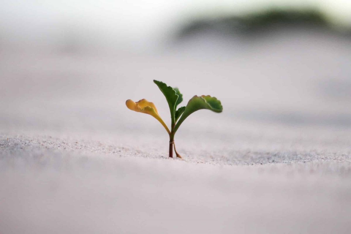 Đánh giá sự tăng trưởng đột biến của HBAR có bền vững trong dài hạn hay không - Tin Tức Bitcoin - Cập Nhật Tin Tức Coin Mới Nhất 24/7 2025