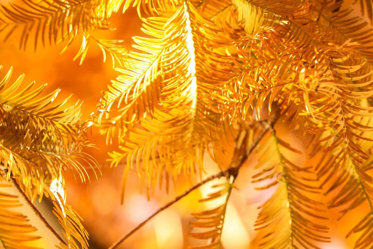 Niềm tin của người mua giảm dần khi Axie Infinity [AXS] giảm xuống dưới $ 13 - Tin Tức Bitcoin - Cập Nhật Tin Tức Coin Mới Nhất 24/7 2026