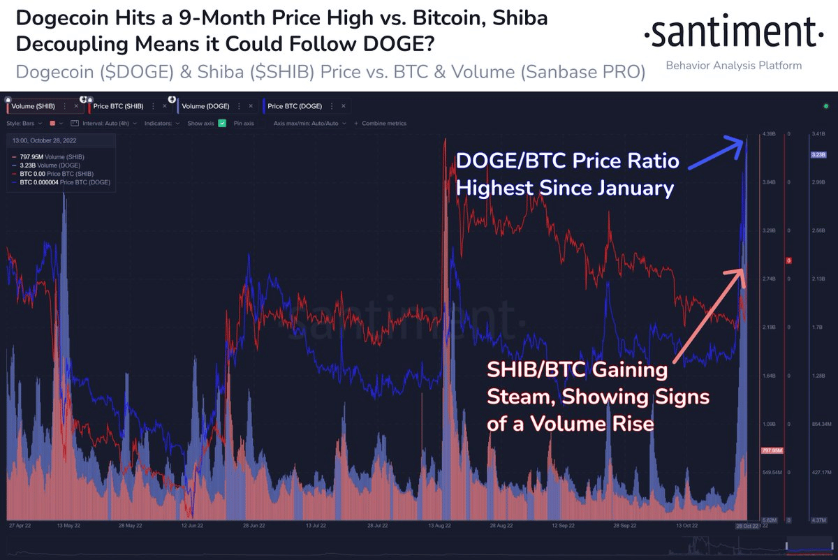 SHIB có theo chân DOGE không? Dữ liệu mới nhất này có thể buộc các nhà giao dịch phải suy nghĩ… - Tin Tức Bitcoin 2024