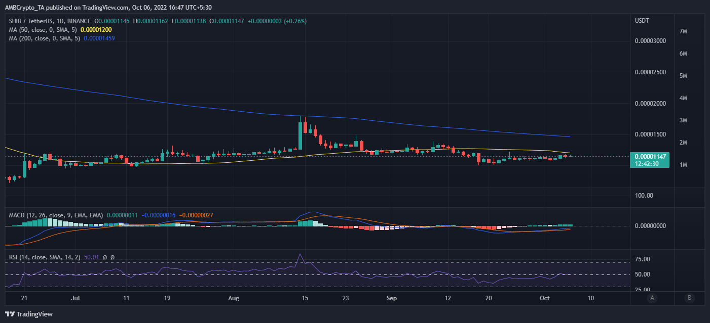 Shiba Inu [SHIB] và mọi thứ về sự ra mắt toàn cầu của Shiba Eternity - Tin Tức Bitcoin - Cập Nhật Tin Tức Coin Mới Nhất 24/7 2025