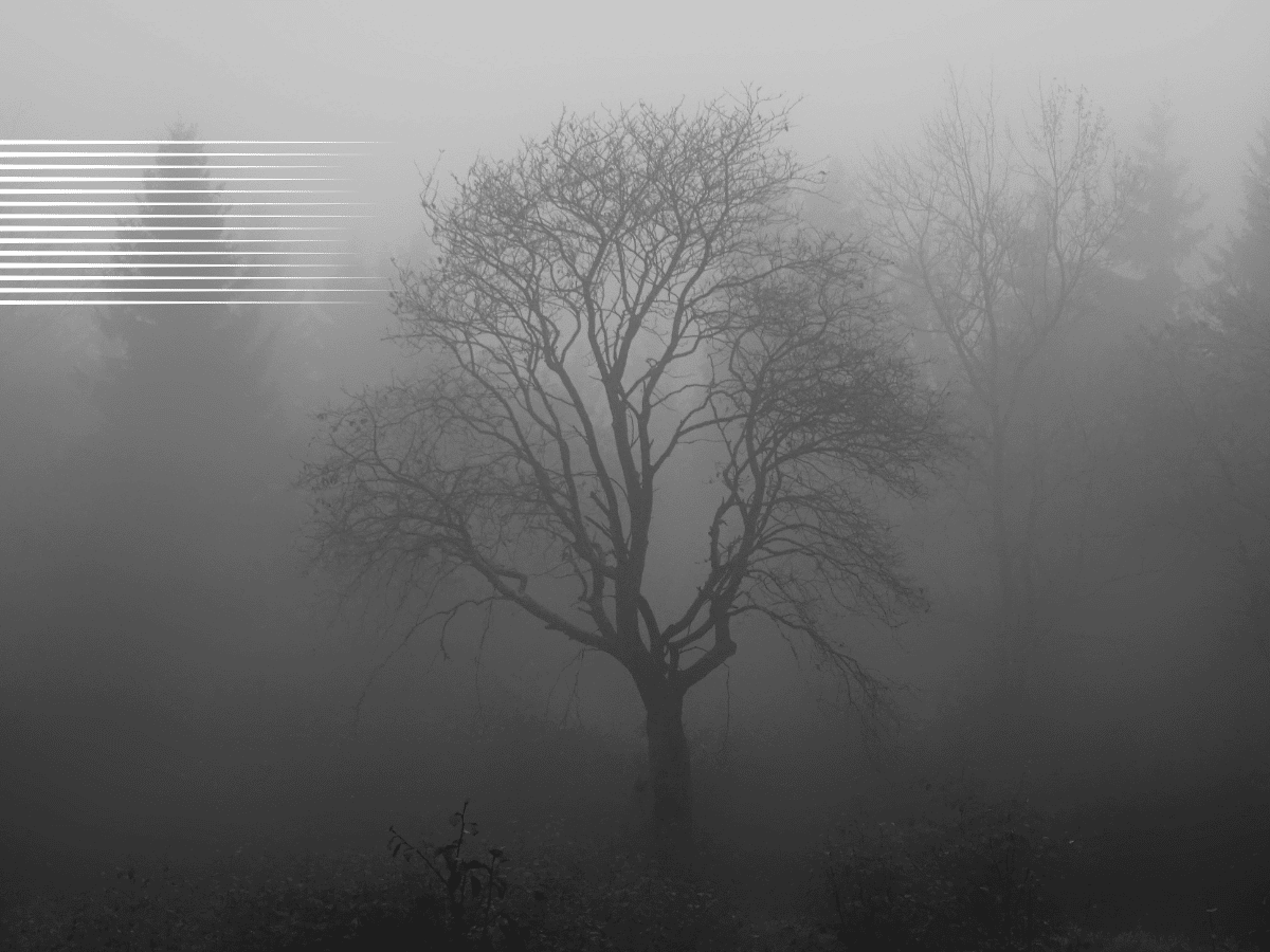 Tại sao lại sử dụng Bitcoin [BTC] các nhà đầu tư đang bối rối giữa hai cực ngay bây giờ - Tin Tức Bitcoin - Cập Nhật Tin Tức Coin Mới Nhất 24/7 2026