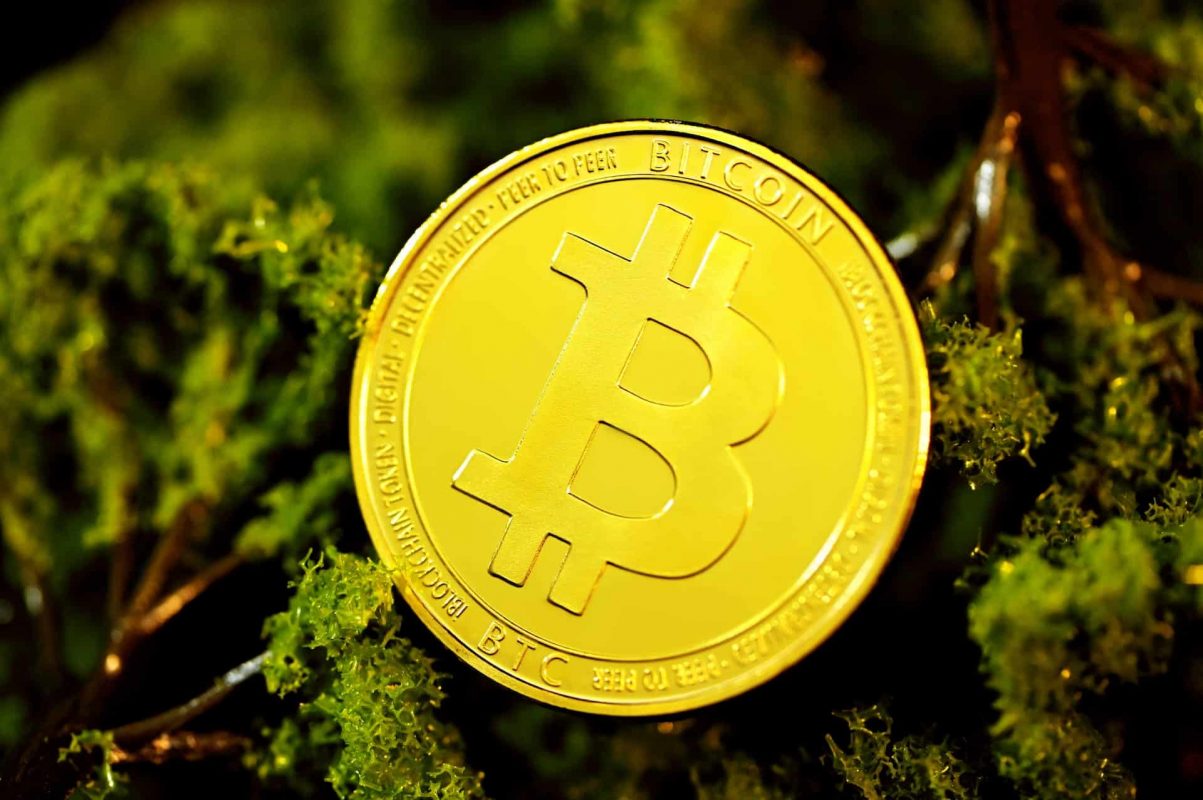 Tại sao những người nắm giữ BTC ngắn hạn sở hữu 23% BTC có thể hành động ủng hộ đồng tiền vua - Tin Tức Bitcoin - Cập Nhật Tin Tức Coin Mới Nhất 24/7 2026 Tại sao những người nắm giữ BTC ngắn hạn sở hữu 23% BTC có thể hành động ủng hộ đồng tiền vua - Tin Tức Bitcoin - Cập Nhật Tin Tức Coin Mới Nhất 24/7 2026