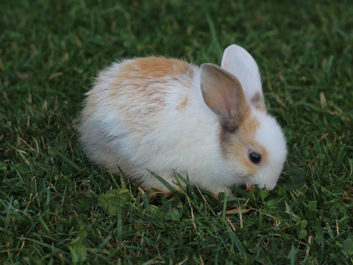 Sản phẩm mới nhất của 1inch nhắm đến mục tiêu bảo mật cao hơn; nó có thể làm dịu các nhà đầu tư gặp khó khăn - Tin Tức Bitcoin - Cập Nhật Tin Tức Coin Mới Nhất 24/7 2025