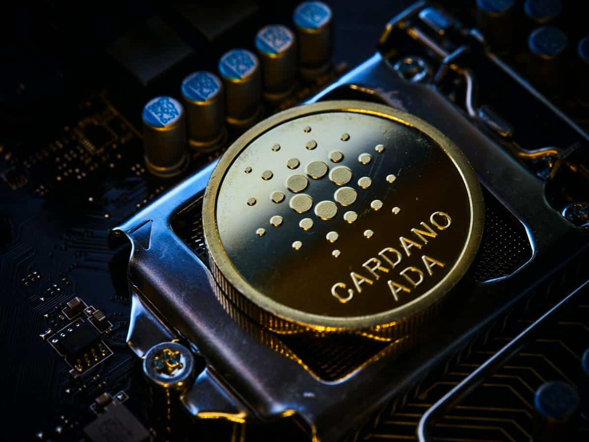 của Cardano [ADA] bản cập nhật phát triển chắc chắn sẽ khiến bạn say mê