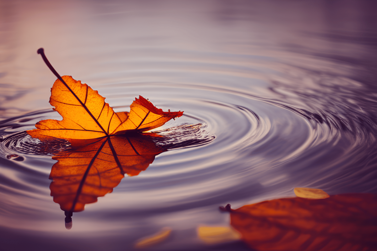 Các nhà đầu tư XRP có thể kiếm được lợi nhuận trong Q4, nhưng đây là lời cảnh báo cho các nhà giao dịch mua - Tin Tức Bitcoin - Cập Nhật Tin Tức Coin Mới Nhất 24/7 2026