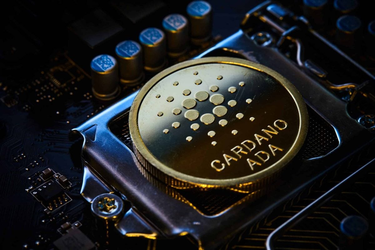 Cardano: Đánh giá tình trạng của ADA sau đợt lao dốc vào tháng 11 - Tin Tức Bitcoin - Cập Nhật Tin Tức Coin Mới Nhất 24/7 2025
