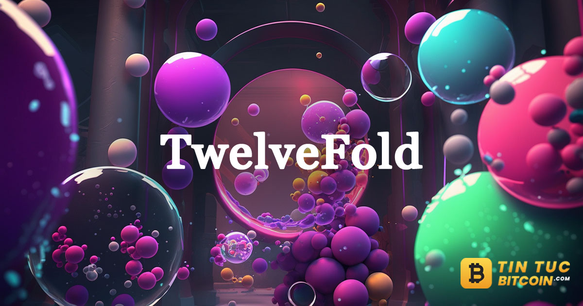 TwelveFold là gì? Tìm hiểu về bộ sưu tập TwelveFold