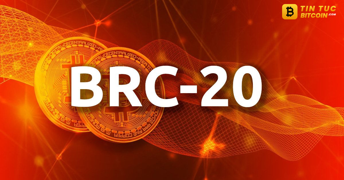 BRC-20 là gì? Tổng quan về tiêu chuẩn Token BRC-20