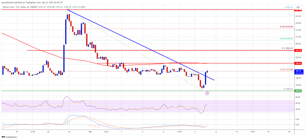 Bitcoin Cash có tín hiệu cho một đợt tăng trưởng - Tin Tức Bitcoin - Cập Nhật Tin Tức Coin Mới Nhất 24/7 2025 Bitcoin Cash có tín hiệu cho một đợt tăng trưởng - Tin Tức Bitcoin - Cập Nhật Tin Tức Coin Mới Nhất 24/7 2025