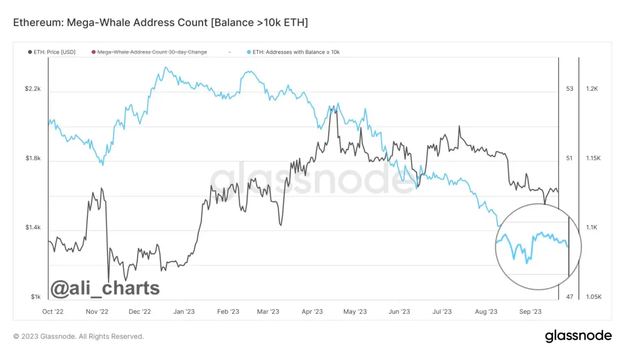 Vitalik Buterin tiếp tục cash out từ Ethereum - Tin Tức Bitcoin - Cập Nhật Tin Tức Coin Mới Nhất 24/7 2024