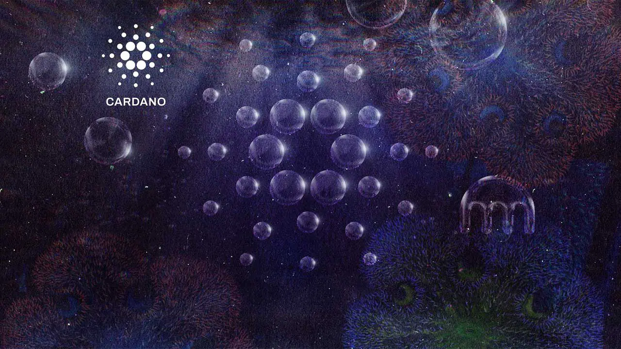 Cardano gợi ý về mối quan hệ hợp tác tiềm năng với Kraken - Tin Tức Bitcoin - Cập Nhật Tin Tức Coin Mới Nhất 24/7 2026 Cardano gợi ý về mối quan hệ hợp tác tiềm năng với Kraken