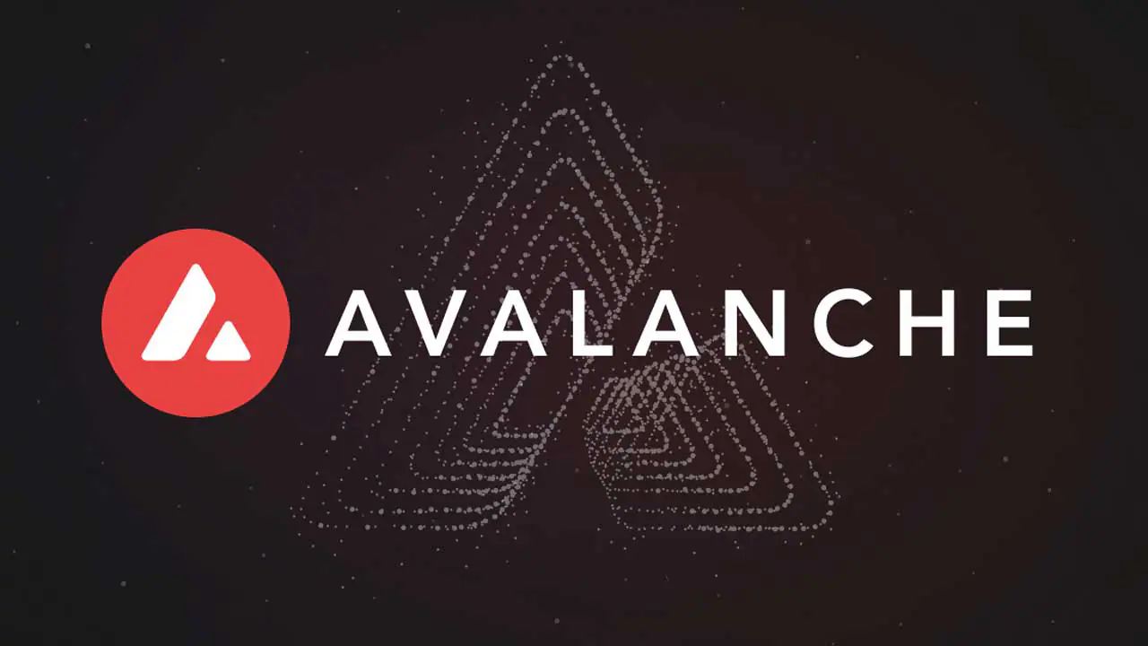 IEEE hợp tác với Avalanche Blockchain - Tin Tức Bitcoin - Cập Nhật Tin Tức Coin Mới Nhất 24/7 2026 IEEE hợp tác với Avalanche Blockchain